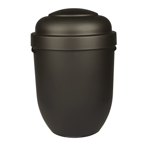 Space Dream Biodegradable Cremation Urn