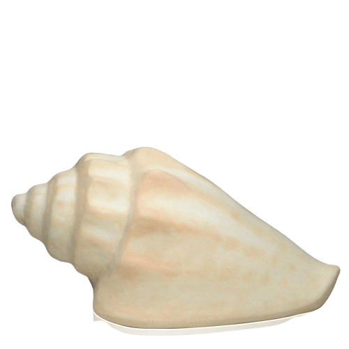 Sea Shell Porcelain Clay Cremation Urn