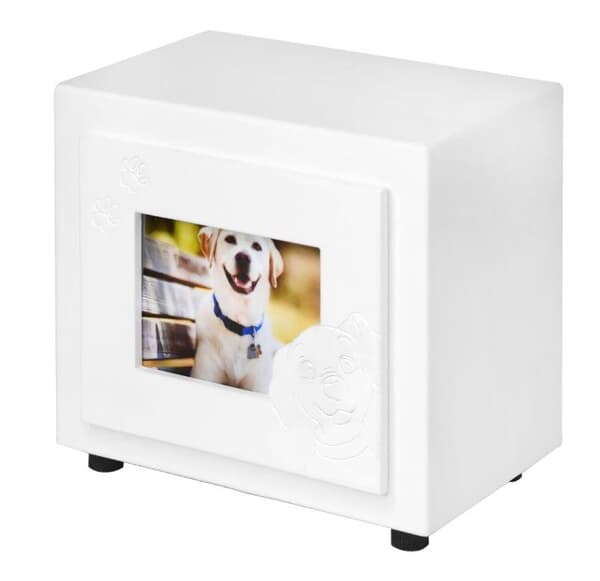 White Paw Large Photo Dog Cremation Urn