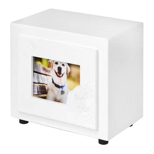 White Paw Large Photo Dog Cremation Urn