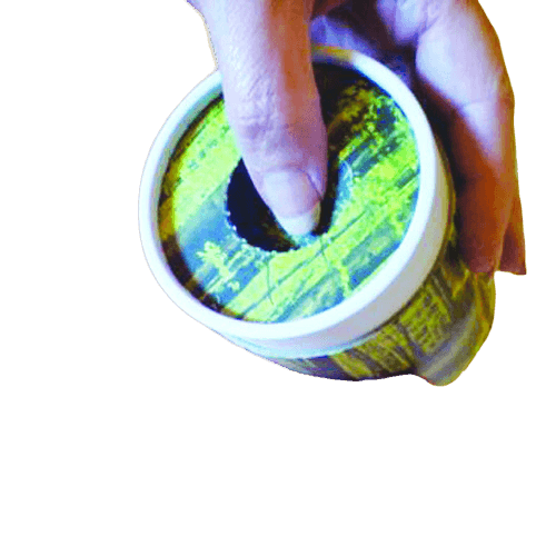 Poppy Scattering Biodegradable Urn