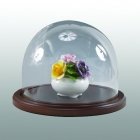 Walnut Wide Glass Keepsake Dome