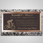 Triathlon Bronze Plaque