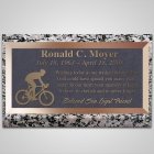 Triathlon Bronze Plaque