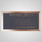 Line Drive Bronze Plaque