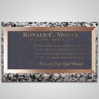 Line Drive Bronze Plaque