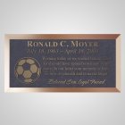 Soccer Ball Bronze Plaque