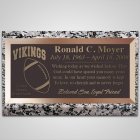 Football Fan Bronze Plaque