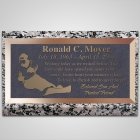 Snowboarder Bronze Plaque