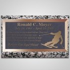 Ski Guy Bronze Plaque