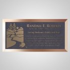 Racoon Bronze Plaque