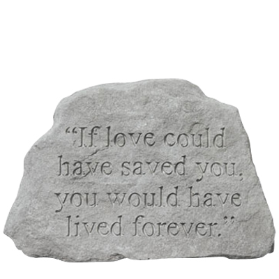 If Love Could Have Saved You Rock