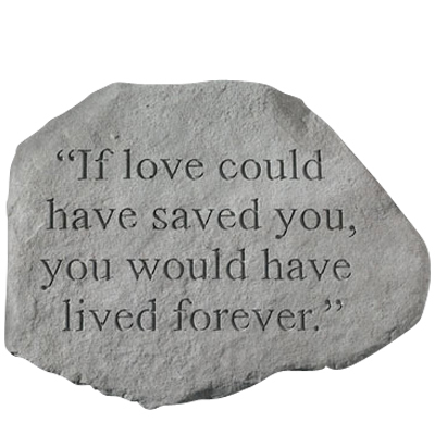 If Love Could Have Saved You Stone