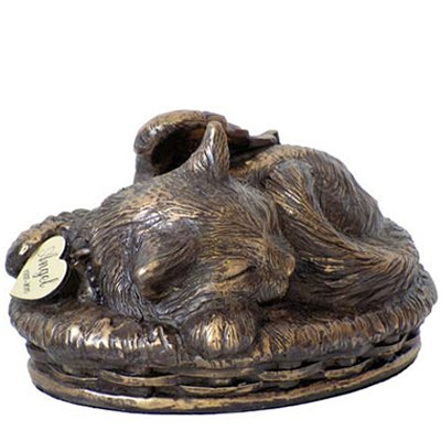 Angel Cat Cremation Urn Bronze