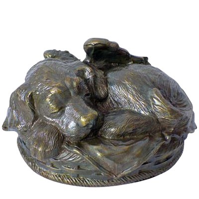 Angel Dog Cremation Urn Antique Bronze