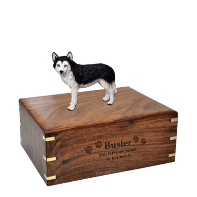 Blue Eyed Husky Medium Doggy Urn