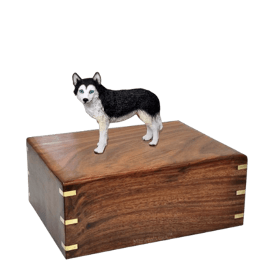 Blue Eyed Husky Medium Doggy Urn