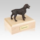Brittany Bronze Medium Dog Urn