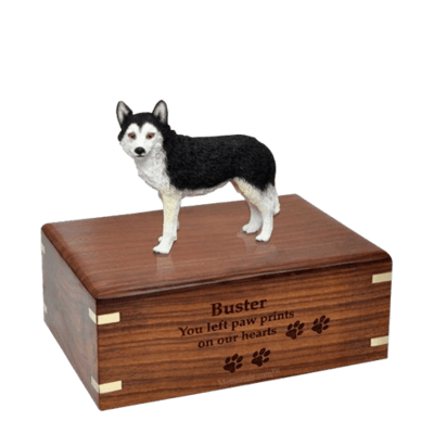 Brown Eyed Husky Medium Doggy Urn