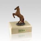 Chesnut Rearing Small Horse Cremation Urn