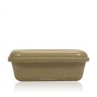 Earthy X Large Biodegradable Pet Casket 