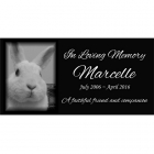 Eternity Granite Pet Grave Marker