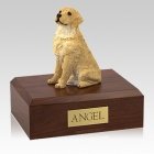 Golden Retriever Blonde Sitting Large Dog Urn