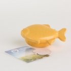 Goldfish Biodegradable Pet Casket