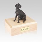 Great Dane Bronze Ears Down Medium Dog Urn