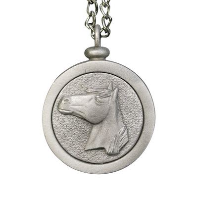 Horse Memory Charm