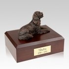 King Charles Spaniel Bronze Large Dog Urn