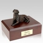 Labrador Bronze X Large Dog Urn