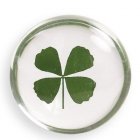 Lucky Clover Worry Keepsake Stones