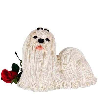 Maltese Dog Cremation Urn