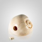 Melo Shell Pet Cremation Urn