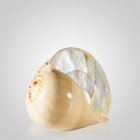 Melo Pearl Shell Pet Cremation Urn