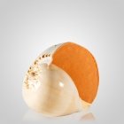 Melo Shell Pet Cremation Urn