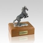 Mustang Gray Medium Horse Cremation Urn