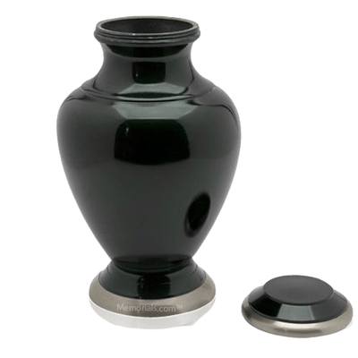 Pantone Cremation Urn