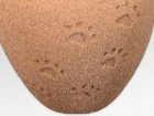 Paw Print Sand Small Biodegradable Urn