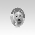 Pet Headstone Pictures Vertical VI