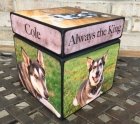 Photo Cube Medium Pet Urn