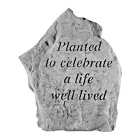 Planted To Celebrate Rock