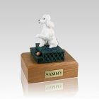 Poodle White Sport Cut Sitting Medium Dog Urn