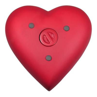 Red Heart Pet Cremation Urn