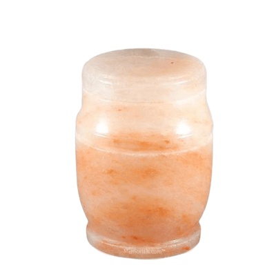 Salt Biodegradable Medium Cremation Urn