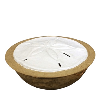 Sand Dollar Biodegradable Cremation Urn