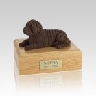 Shar Pei Chocolate Medium Dog Urn