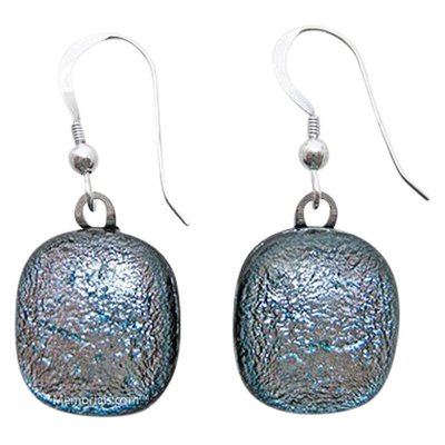 Silver Embrace Earrings