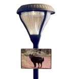 Solace Pet Photo Grave Lamp